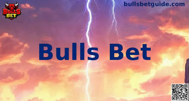 Bulls Bet Plataforma